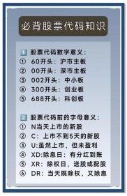 大众汽车股票代码是啥？一文带你搞懂股票代码那些事儿