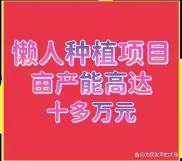 农村种养项目真的又累又不赚钱？快来看看这些懒人种养项目