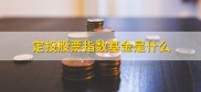 定投股票指数基金介绍，指数型基金和股票型基金的区别