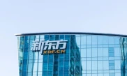 新东方发布截至2025年2月28日季度财报，营收利润情况如何？