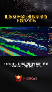 2024年8月汇添富环保行业股票基金净值下跌，持仓前十有哪些？