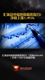 港股暴涨，汇添富沪港深大盘价值混合基金1月15日起发行