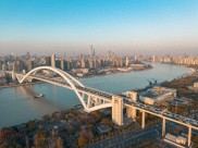 2025年中国西部创业大门开启！特色农业生意等你来剖析？