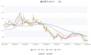 中证智能财讯：重庆燃气2024年半年度报告解读及财务指标分析