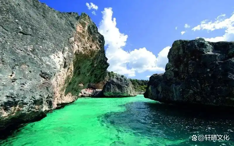 财商教育:我的孩子会理财_从小培养孩子金钱智慧_财商教育的重要性