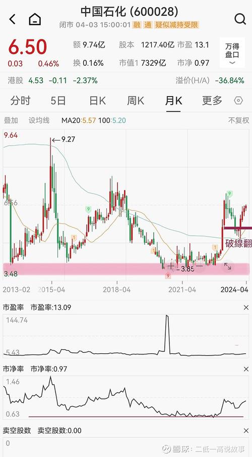 石化双雄股票代码_公司业绩分析_中国石化股票代码