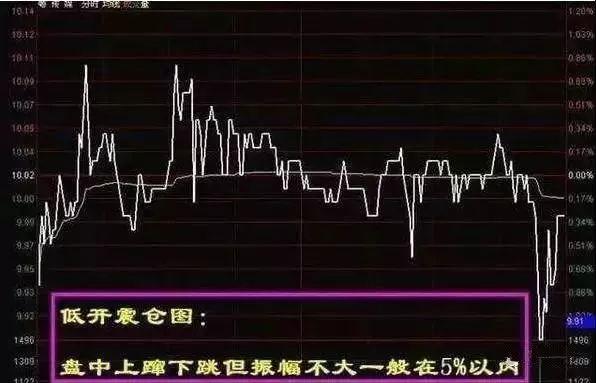 低开震仓买进策略_股票投资快速入门_分时图买股票技巧