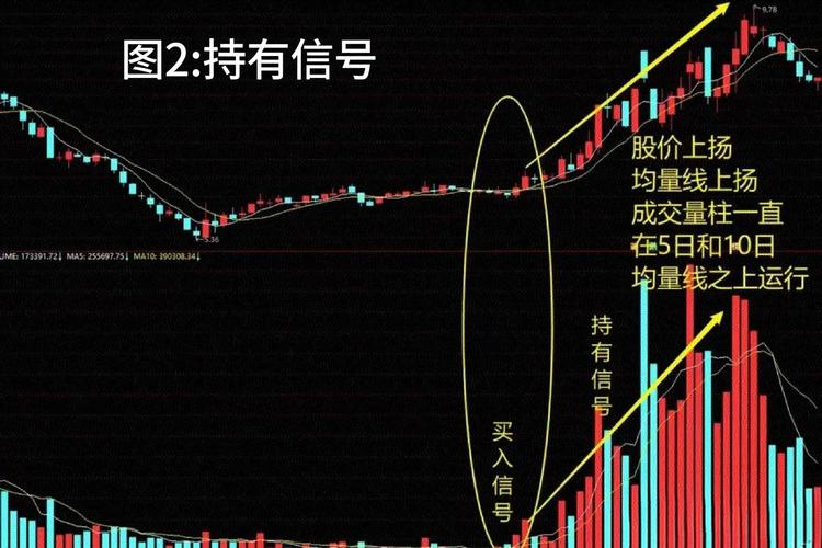 量柱擒涨停实战方法_炒股一条神奇均线_量学伏击涨停技巧