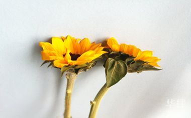 传奇挂机赚钱诱导玩家充值怎么退款