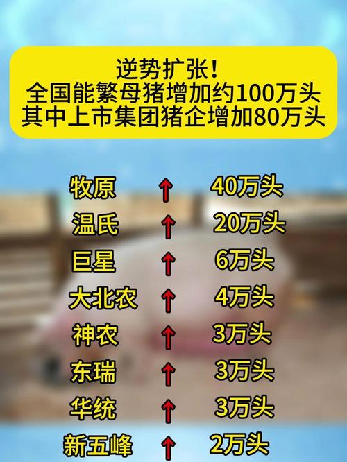 养猪场工人的收入构成_养猪行业智能化转型对员工收入的影响_养猪如何养赚钱