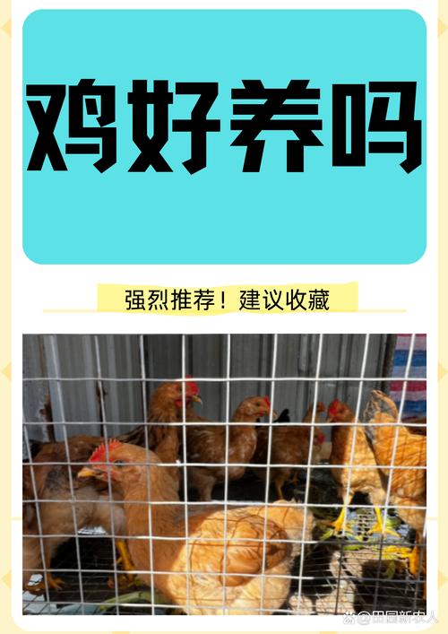 家庭养殖特色禽类项目_水产养殖小龙虾养殖技术_搞什么养殖赚钱