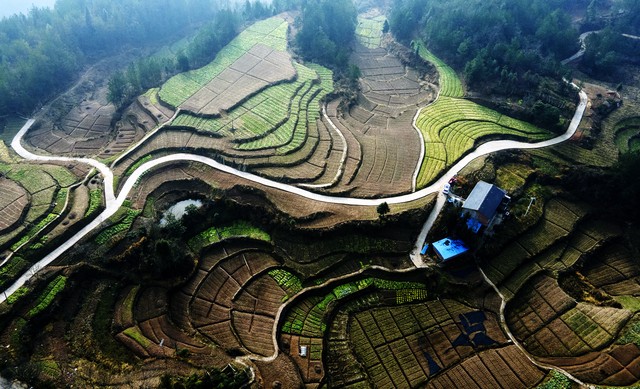 2025中国西部创业机会 _2025开网店卖什么赚钱_