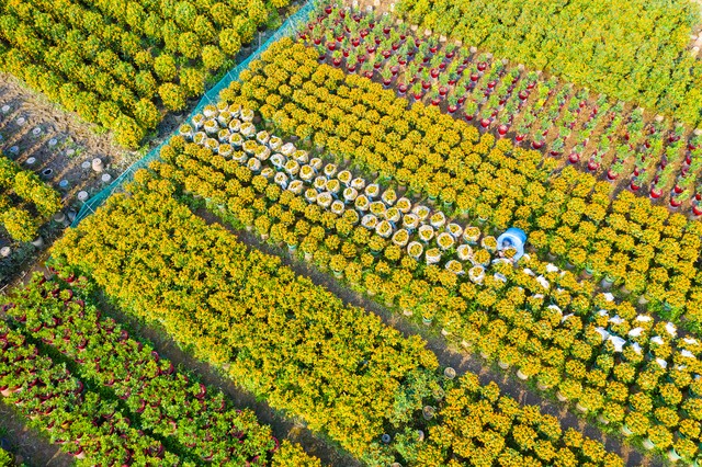 2025开网店卖什么赚钱_ 2025中国西部创业机会 _