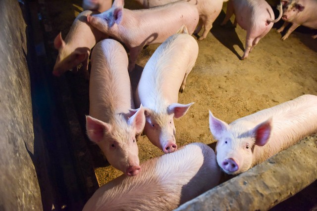 2025中国西部创业机会 __2025开网店卖什么赚钱