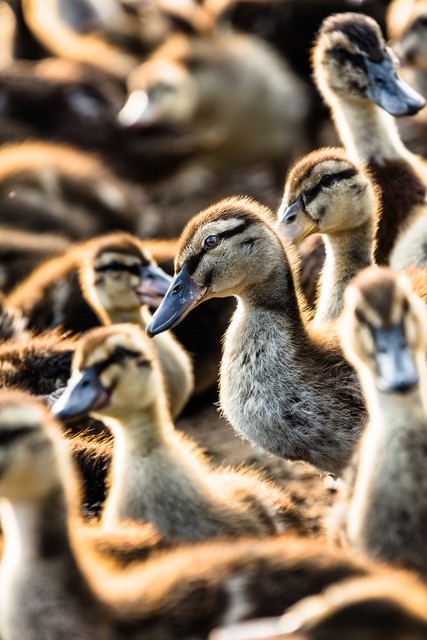 _ 2025中国西部创业机会 _2025开网店卖什么赚钱