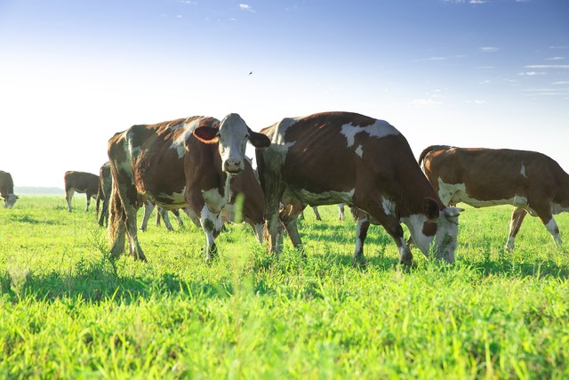 2025中国西部创业机会 __2025开网店卖什么赚钱