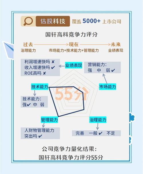国轩高科合肥新站电池项目_国轩高科动力电池项目进展_合肥国轩股票