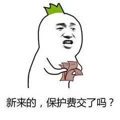 中国股民字母知识_股票代码加xd是什么意思_股票字母含义解释