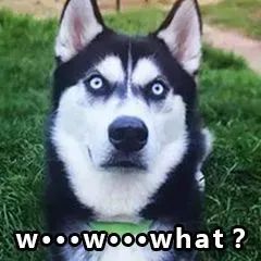 中国股民字母知识_股票代码加xd是什么意思_股票字母含义解释