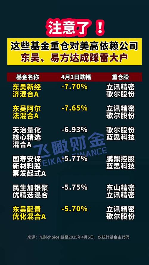 股票和基金青睐哪一种_QDII基金2025年二季度全球布局_美股QDII基金持仓分析