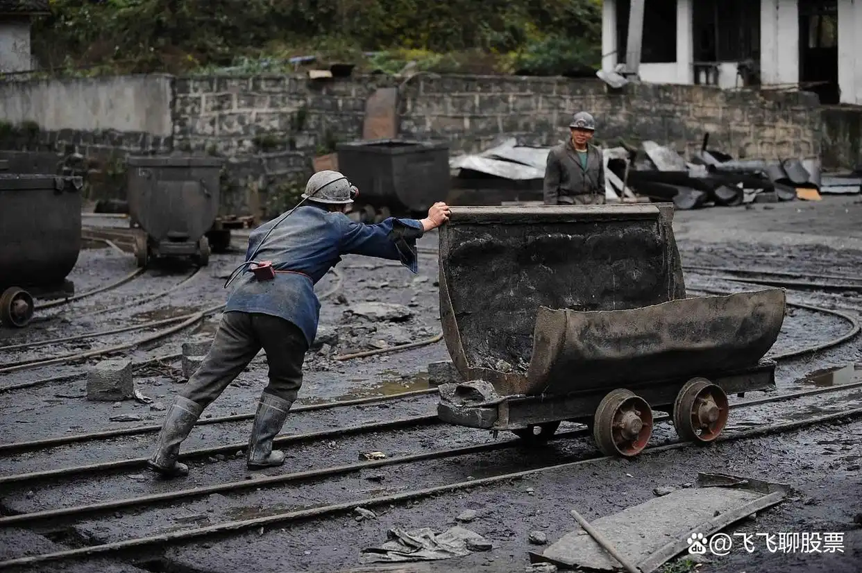 煤炭 股票_陕西煤业2024年一季度财务数据_中国神华2024年一季度业绩分析