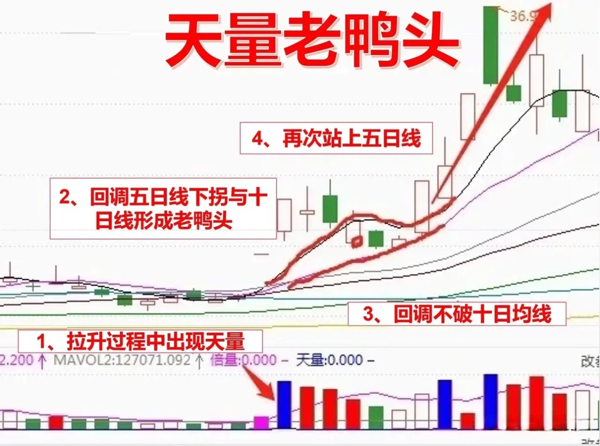 持续稳定盈利_股票大v付费文章合集_全职交易者