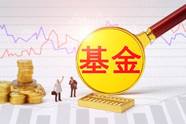买股票和买基金有什么不同_买股票基金有分红吗_买股票基金有年龄限制吗