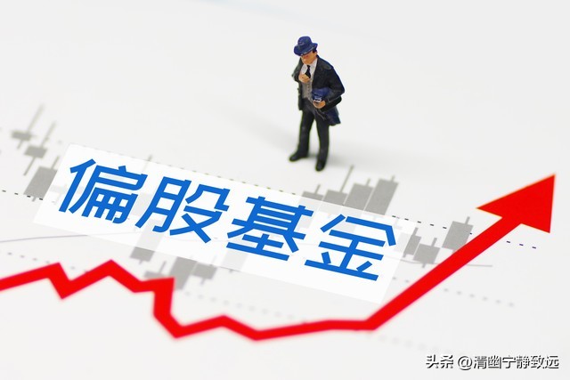 买股票和买基金有什么不同_买股票基金有没有技巧和方法_买股票基金有哪些软件