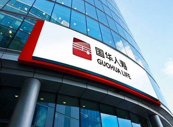 国华人寿股票代码_国华人寿吸收合并_天茂集团全资控股