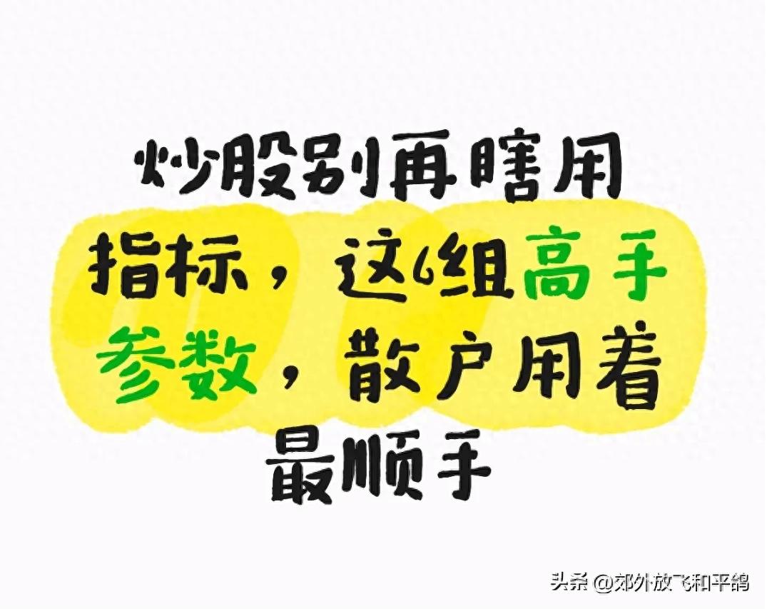 散户高手谈炒股_A股实战指标参数设置_散户炒股指标参数