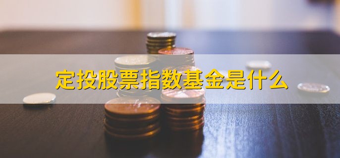 定投股票指数基金是什么,什么是指数型基金