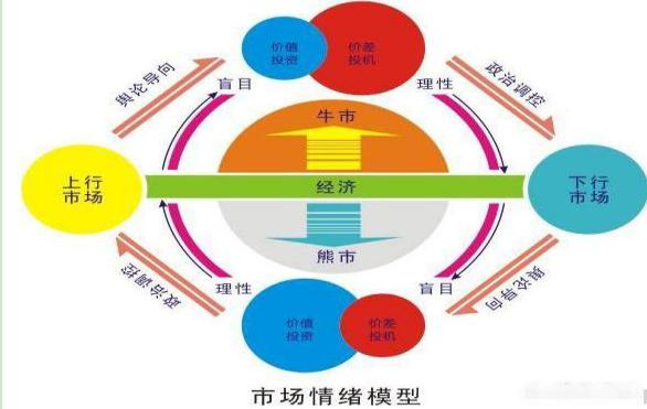 机构选股布局方法_散户避免被套技巧_600067股票
