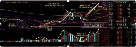 散户避免被套技巧_机构选股布局方法_600067股票